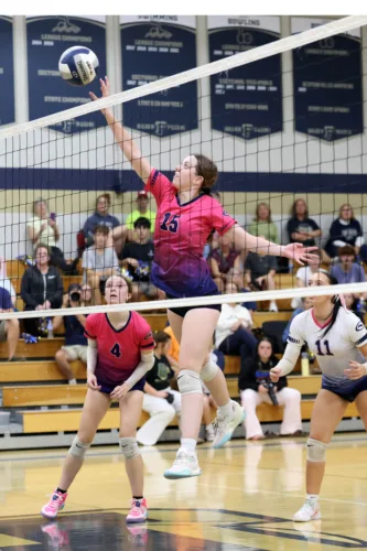 Falconer trims Dunkirk volleyball in 4